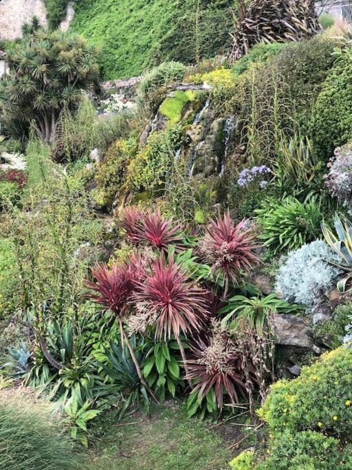 *Stunning* The Botanist Rest Ventnor Iow Villa ภายนอก รูปภาพ