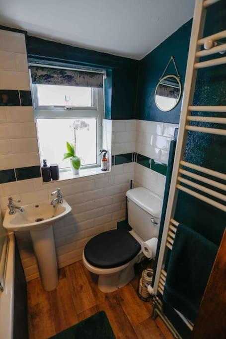 *Stunning* The Botanist Rest Ventnor Iow Villa ภายนอก รูปภาพ